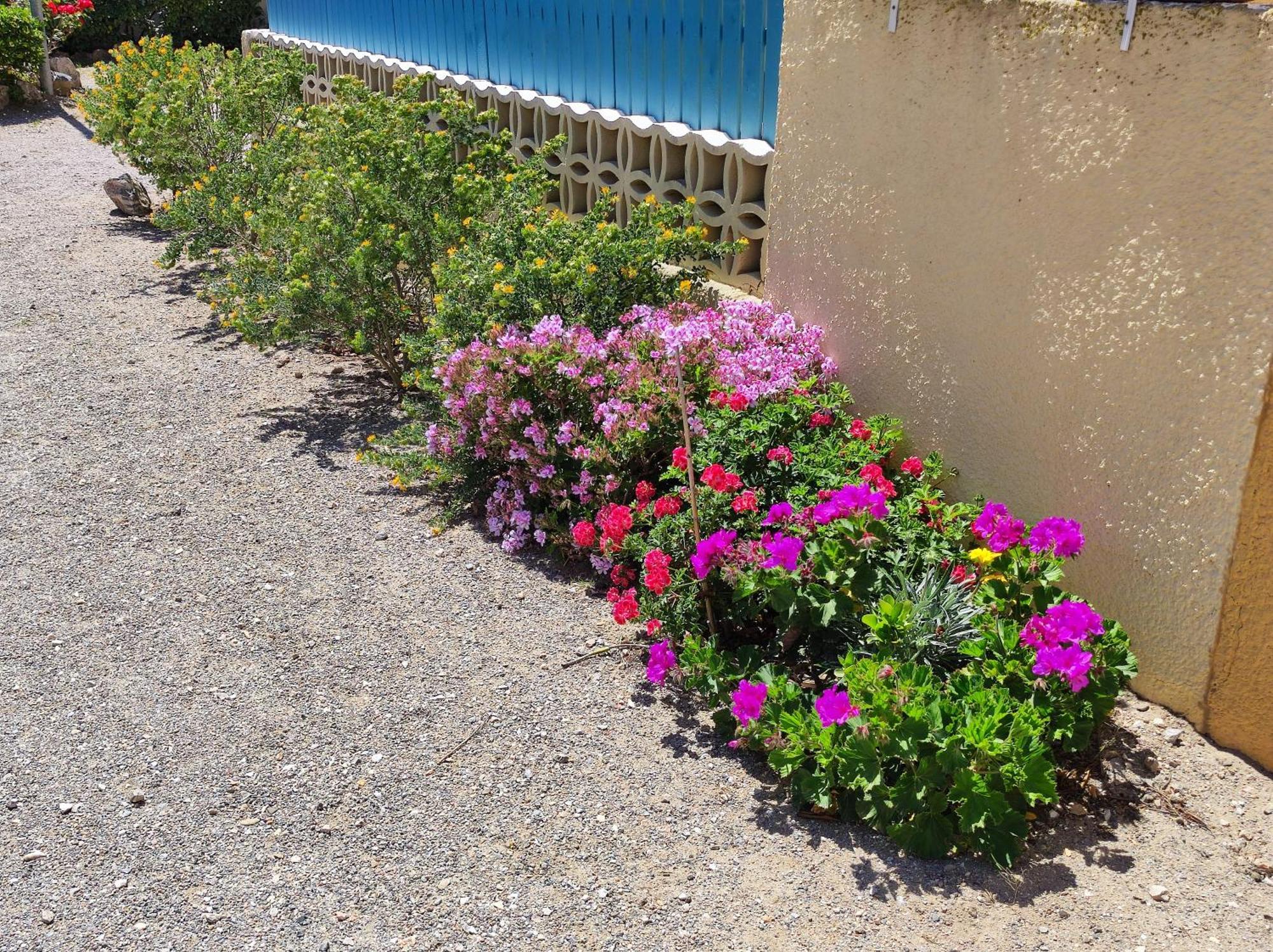 Douce Toison D'Or Avec Clim Et Wifi Villa Le Barcarès Dış mekan fotoğraf